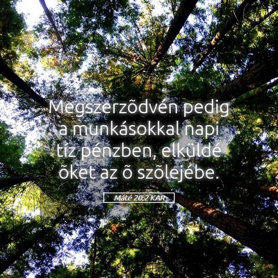 Picture 05 - Máté 20:2 KAR - Megszerzõdvén pedig a munkásokkal napi tíz - Bible Verse Picture