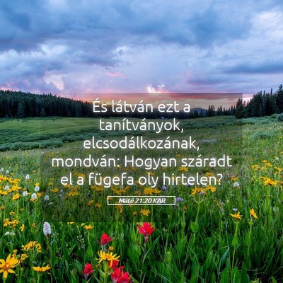 Picture 05 - Máté 21:20 KAR - És látván ezt a tanítványok, - Bible Verse Picture