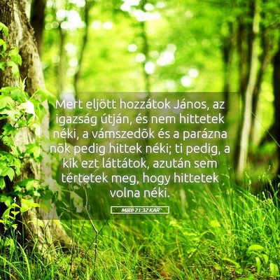Picture 05 - Máté 21:32 KAR - Mert eljött hozzátok János, az igazság - Bible Verse Picture