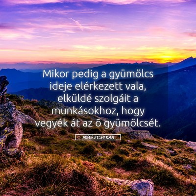 Picture 05 - Máté 21:34 KAR - Mikor pedig a gyümölcs ideje elérkezett vala, - Bible Verse Picture