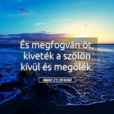 Picture 05 - Máté 21:39 KAR - És megfogván õt, kiveték a szõlõn kívül - Bible Verse Picture