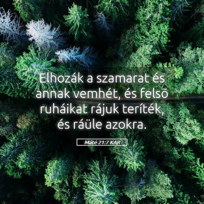 Picture 05 - Máté 21:7 KAR - Elhozák a szamarat és annak vemhét, és felsõ - Bible Verse Picture