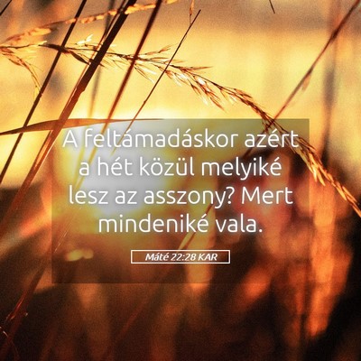 Picture 05 - Máté 22:28 KAR - A feltámadáskor azért a hét közül melyiké - Bible Verse Picture