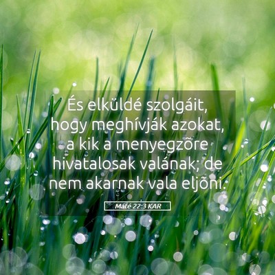 Picture 05 - Máté 22:3 KAR - És elküldé szolgáit, hogy meghívják azokat, - Bible Verse Picture