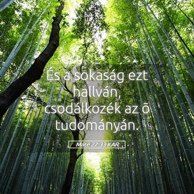 Picture 05 - Máté 22:33 KAR - És a sokaság ezt hallván, csodálkozék az õ - Bible Verse Picture