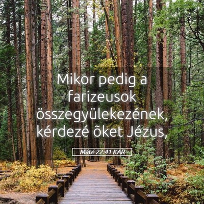 Picture 05 - Máté 22:41 KAR - Mikor pedig a farizeusok összegyülekezének, - Bible Verse Picture