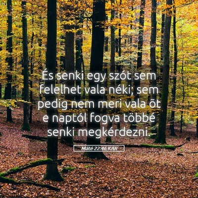 Picture 05 - Máté 22:46 KAR - És senki egy szót sem felelhet vala néki; sem - Bible Verse Picture