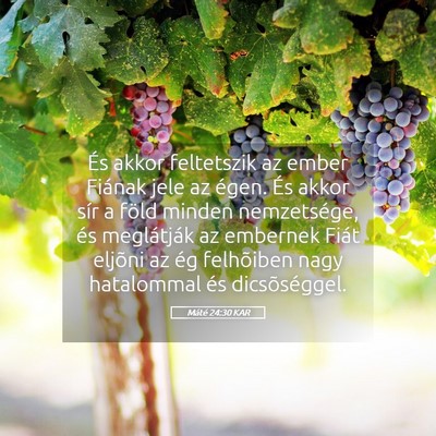 Picture 05 - Máté 24:30 KAR - És akkor feltetszik az ember Fiának jele az - Bible Verse Picture
