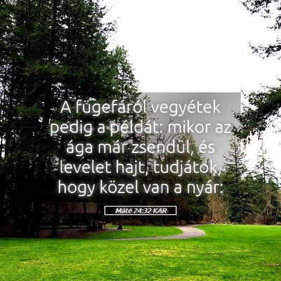 Picture 05 - Máté 24:32 KAR - A fügefáról vegyétek pedig a példát: mikor - Bible Verse Picture