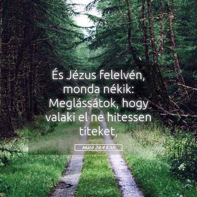 Picture 05 - Máté 24:4 KAR - És Jézus felelvén, monda nékik: - Bible Verse Picture