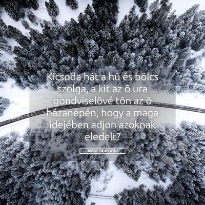 Picture 05 - Máté 24:45 KAR - Kicsoda hát a hû és bölcs szolga, a kit az õ - Bible Verse Picture