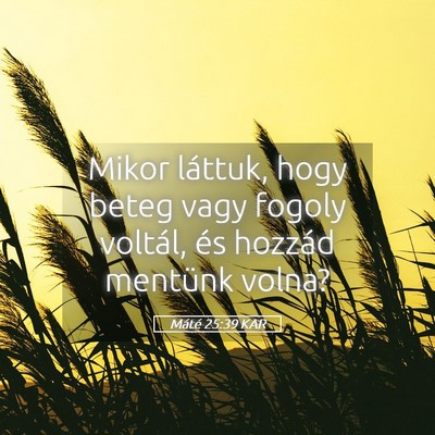 Picture 05 - Máté 25:39 KAR - Mikor láttuk, hogy beteg vagy fogoly voltál, - Bible Verse Picture
