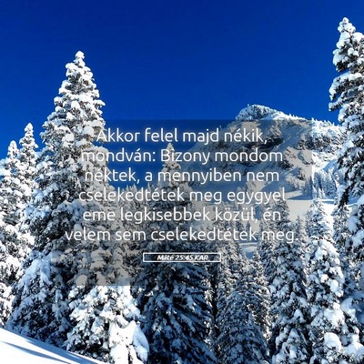 Picture 05 - Máté 25:45 KAR - Akkor felel majd nékik, mondván: Bizony mondom - Bible Verse Picture