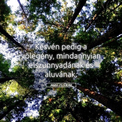Picture 05 - Máté 25:5 KAR - Késvén pedig a võlegény, mindannyian - Bible Verse Picture