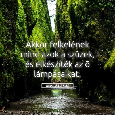Picture 05 - Máté 25:7 KAR - Akkor felkelének mind azok a szûzek, és - Bible Verse Picture
