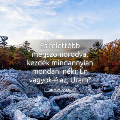 Picture 05 - Máté 26:22 KAR - És felettébb megszomorodva, kezdék mindannyian - Bible Verse Picture