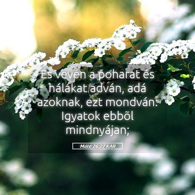 Picture 05 - Máté 26:27 KAR - És vevén a poharat és hálákat adván, adá - Bible Verse Picture