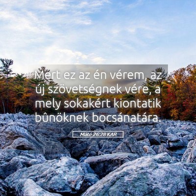 Picture 05 - Máté 26:28 KAR - Mert ez az én vérem, az új szövetségnek - Bible Verse Picture