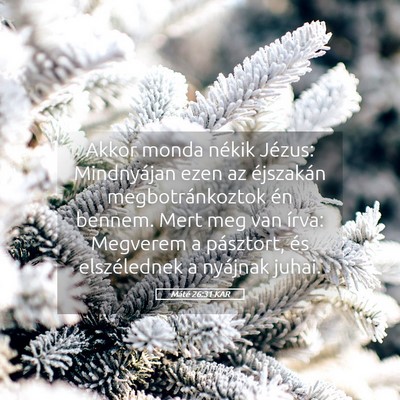 Picture 05 - Máté 26:31 KAR - Akkor monda nékik Jézus: Mindnyájan ezen az - Bible Verse Picture
