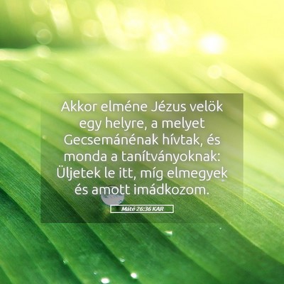 Picture 05 - Máté 26:36 KAR - Akkor elméne Jézus velök egy helyre, a melyet - Bible Verse Picture