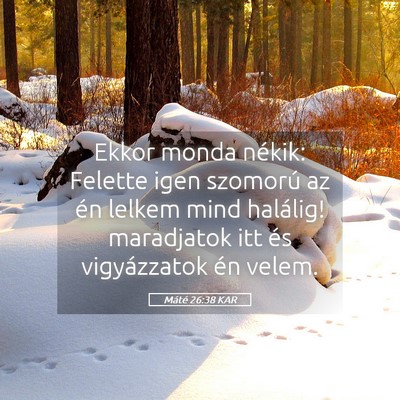 Picture 05 - Máté 26:38 KAR - Ekkor monda nékik: Felette igen szomorú az én - Bible Verse Picture
