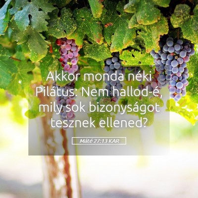 Picture 05 - Máté 27:13 KAR - Akkor monda néki Pilátus: Nem hallod-é, mily - Bible Verse Picture
