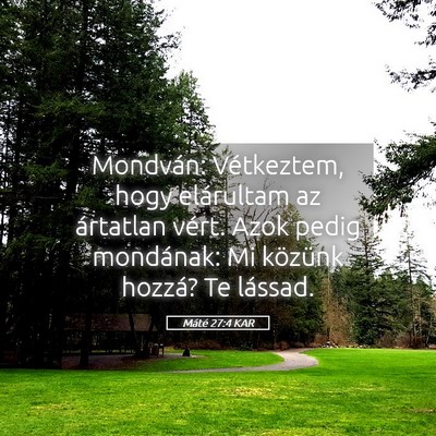 Picture 05 - Máté 27:4 KAR - Mondván: Vétkeztem, hogy elárultam az - Bible Verse Picture