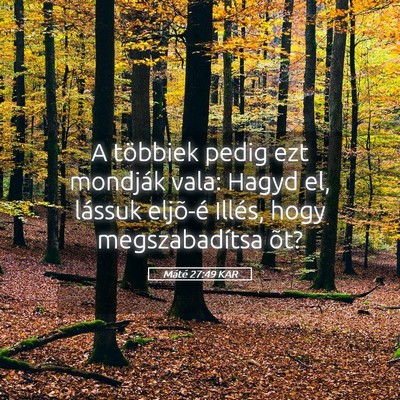 Picture 05 - Máté 27:49 KAR - A többiek pedig ezt mondják vala: Hagyd el, - Bible Verse Picture