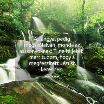 Picture 05 - Máté 28:5 KAR - Az angyal pedig megszólalván, monda az - Bible Verse Picture