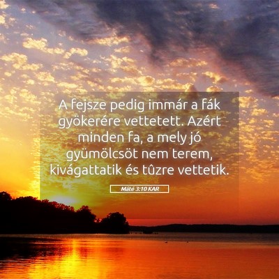 Picture 05 - Máté 3:10 KAR - A fejsze pedig immár a fák gyökerére - Bible Verse Picture