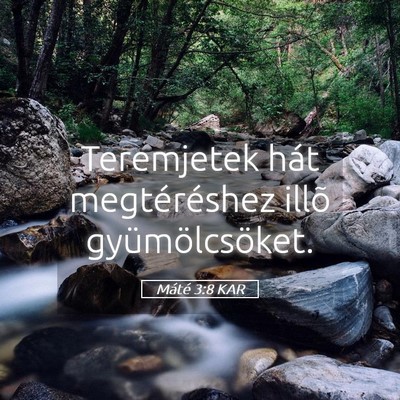 Picture 05 - Máté 3:8 KAR - Teremjetek hát megtéréshez illõ - Bible Verse Picture