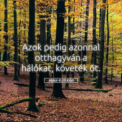 Picture 05 - Máté 4:20 KAR - Azok pedig azonnal otthagyván a hálókat, - Bible Verse Picture