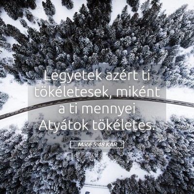 Picture 05 - Máté 5:48 KAR - Legyetek azért ti tökéletesek, miként a ti - Bible Verse Picture