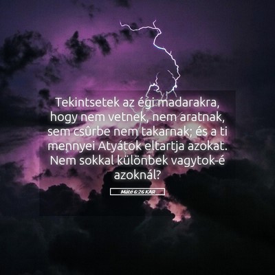 Picture 05 - Máté 6:26 KAR - Tekintsetek az égi madarakra, hogy nem vetnek, - Bible Verse Picture
