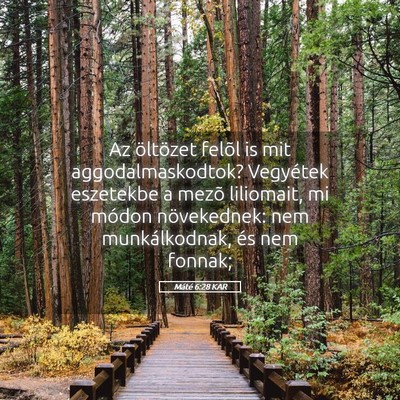Picture 05 - Máté 6:28 KAR - Az öltözet felõl is mit aggodalmaskodtok? - Bible Verse Picture