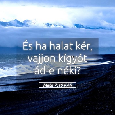 Picture 05 - Máté 7:10 KAR - És ha halat kér, vajjon kígyót ád-e - Bible Verse Picture