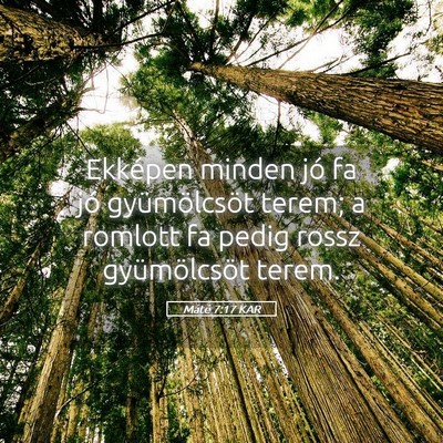 Picture 05 - Máté 7:17 KAR - Ekképen minden jó fa jó gyümölcsöt terem; a - Bible Verse Picture