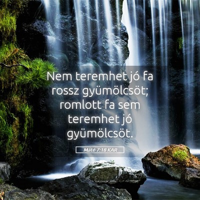Picture 05 - Máté 7:18 KAR - Nem teremhet jó fa rossz gyümölcsöt; romlott - Bible Verse Picture