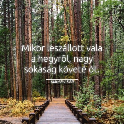 Picture 05 - Máté 8:1 KAR - Mikor leszállott vala a hegyrõl, nagy sokaság - Bible Verse Picture