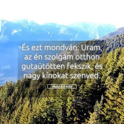 Picture 05 - Máté 8:6 KAR - És ezt mondván: Uram, az én szolgám otthon - Bible Verse Picture