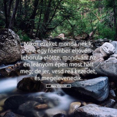 Picture 05 - Máté 9:18 KAR - Mikor ezeket mondá nékik, ímé egy fõember - Bible Verse Picture