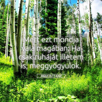 Picture 05 - Máté 9:21 KAR - Mert ezt mondja vala magában: Ha csak ruháját - Bible Verse Picture