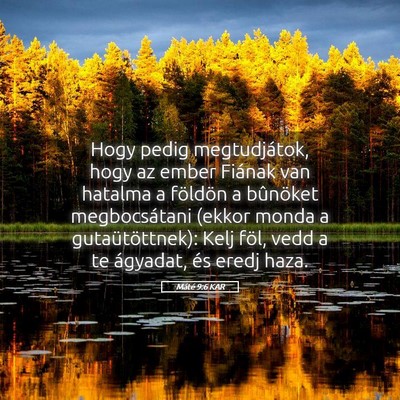 Picture 05 - Máté 9:6 KAR - Hogy pedig megtudjátok, hogy az ember Fiának - Bible Verse Picture