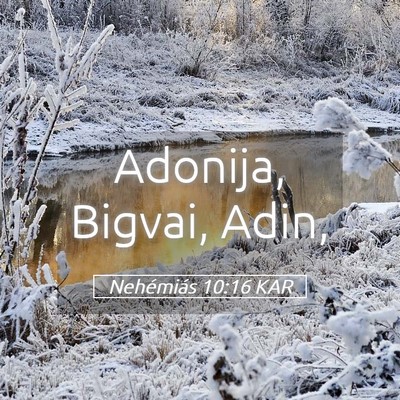 Picture 05 - Nehémiás 10:16 KAR - Adonija, Bigvai, - Bible Verse Picture