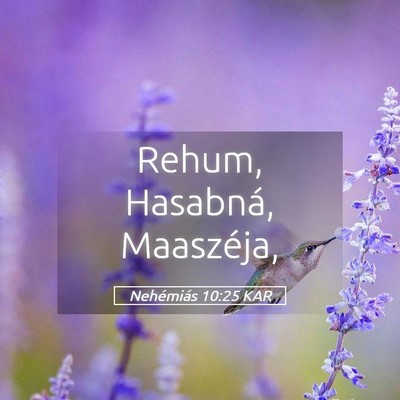 Picture 05 - Nehémiás 10:25 KAR - Rehum, Hasabná, - Bible Verse Picture