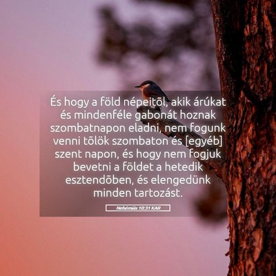 Picture 05 - Nehémiás 10:31 KAR - És hogy a föld népeitõl, akik árúkat és - Bible Verse Picture