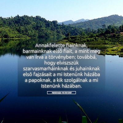 Picture 05 - Nehémiás 10:36 KAR - Annakfelette fiainknak, barmainknak elsõ fiait, - Bible Verse Picture