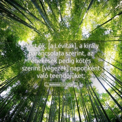 Picture 05 - Nehémiás 11:23 KAR - Mert õk, [a Léviták], a király parancsolata - Bible Verse Picture