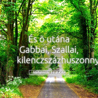 Picture 05 - Nehémiás 11:8 KAR - És õ utána Gabbai, Szallai, - Bible Verse Picture