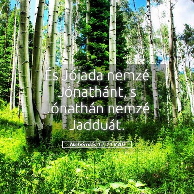 Picture 05 - Nehémiás 12:11 KAR - És Jójada nemzé Jónathánt, s Jónathán - Bible Verse Picture